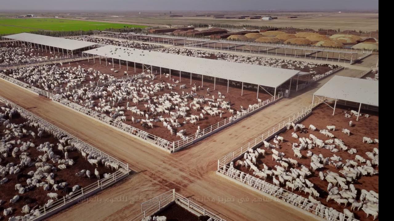 Modern Agricultural Facility